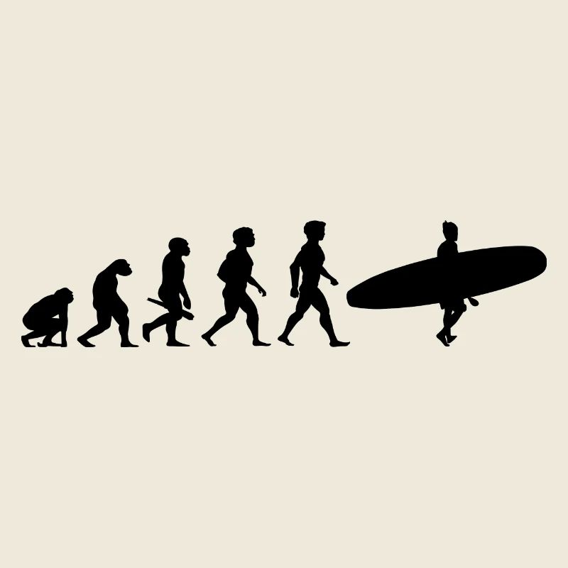 Evolution Surf Surfers surf surf