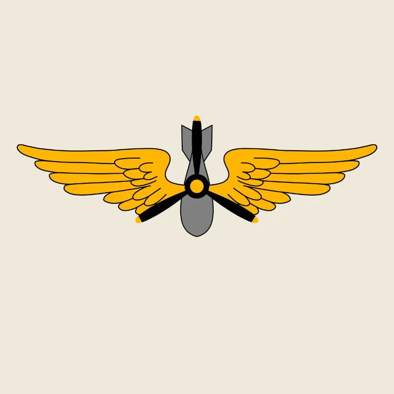 Military pilots