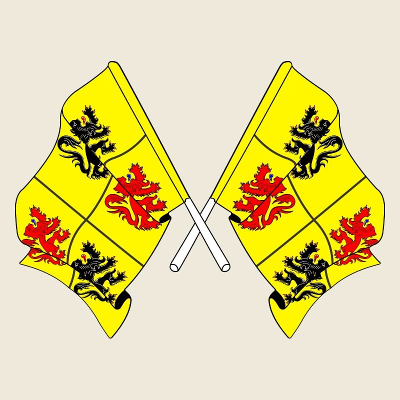 Deux drapeaux Hainaut Belgique