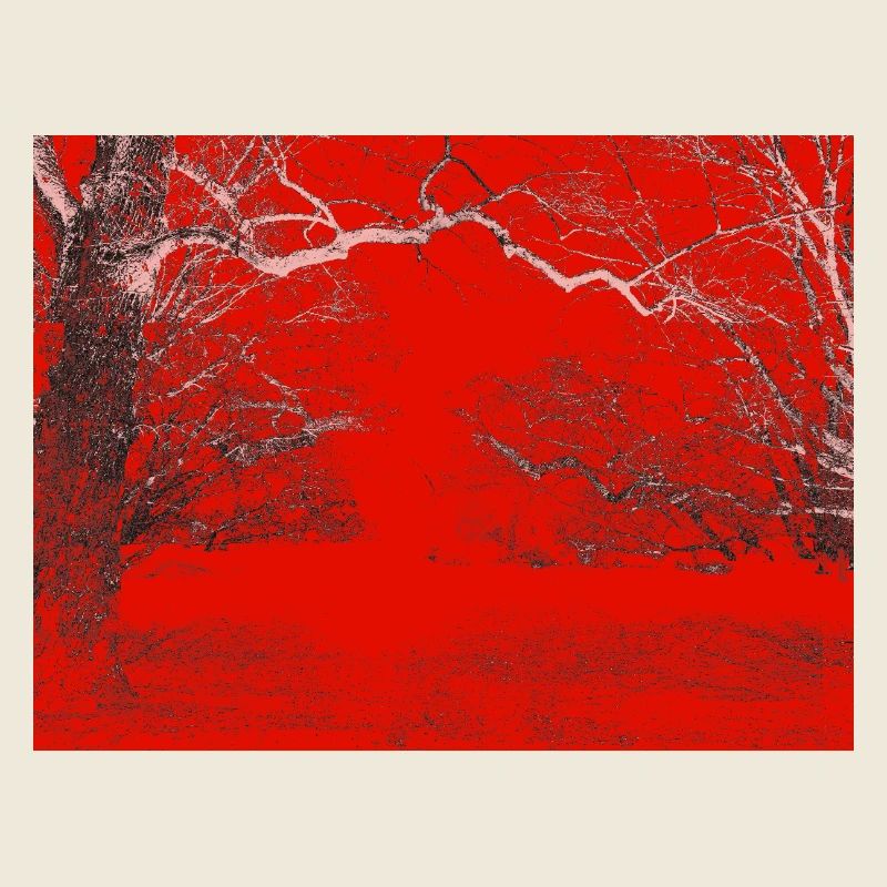 Roter Waldrand Kontrast