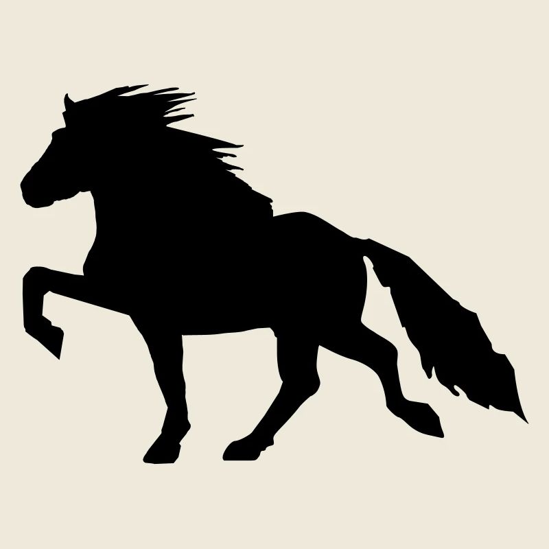 Powerful Icelandic Horse Tölt 7