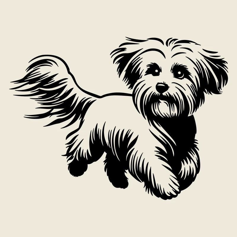 Maltese