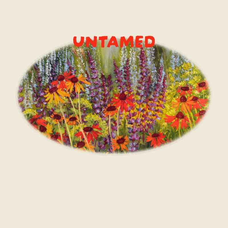 Ungezähmte – Lebendige Echinacea-Wildblumenwiese