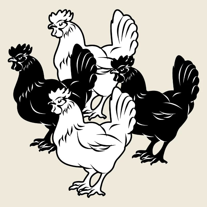 four chickens