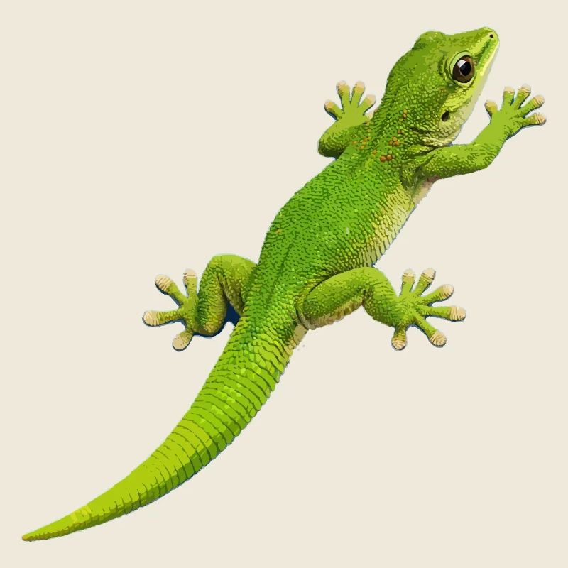 Gecko climbs 1