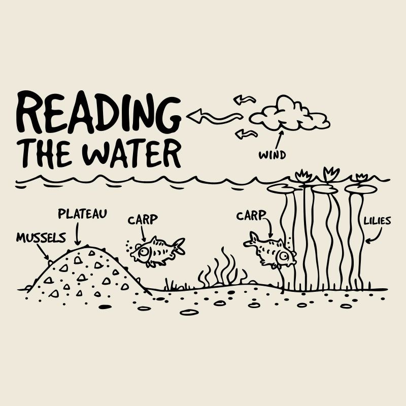 READING THE WATER