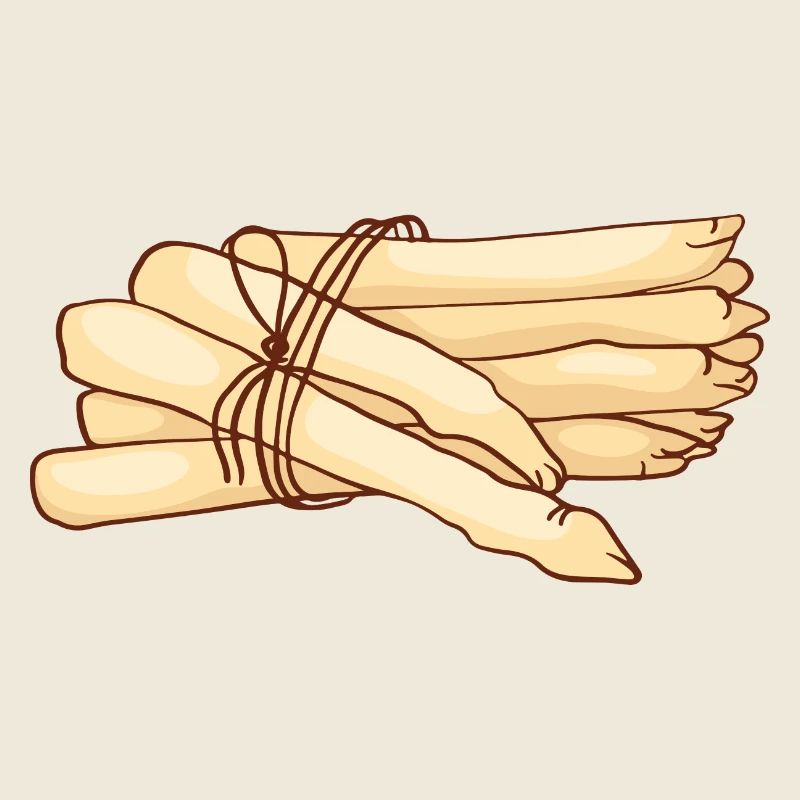 Gemüsespargel Gemeiner Spargel