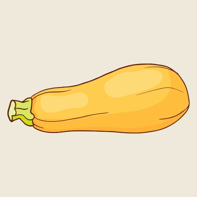 Zucchini zucchinis summer squash