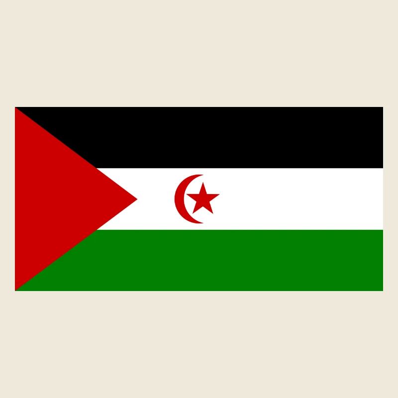 Westsahara-Flagge