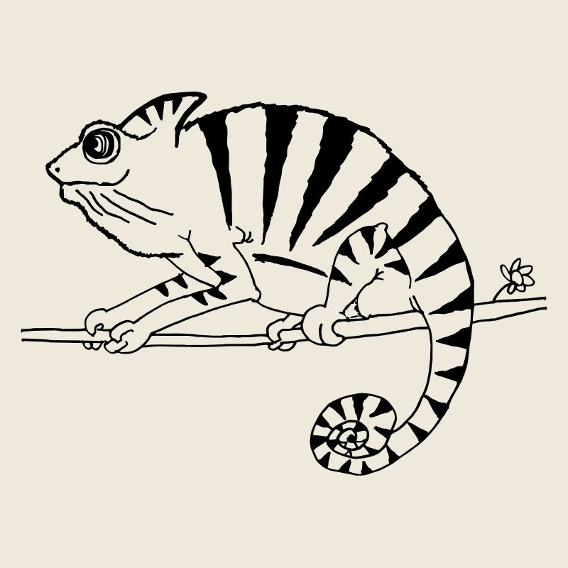 witziges Chamäleon Reptilien 