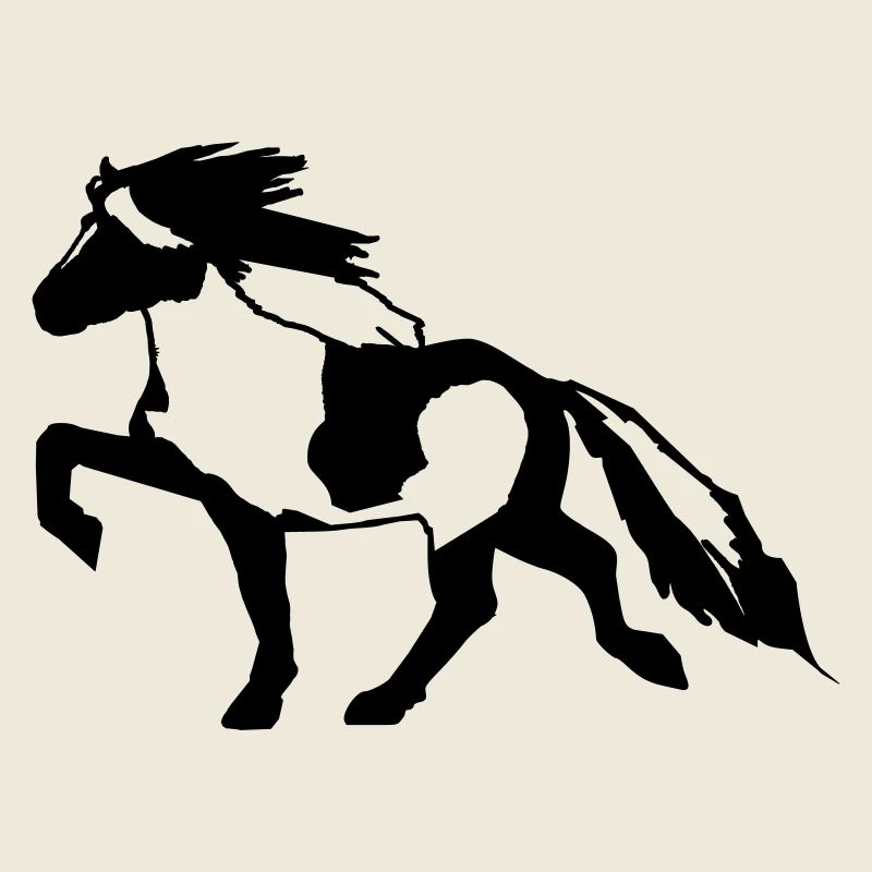 Islandpferd Schecke 7, Pinto reiten Isländer