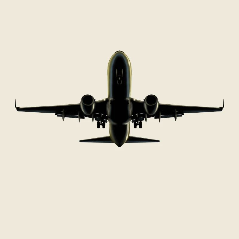 Flugzeug