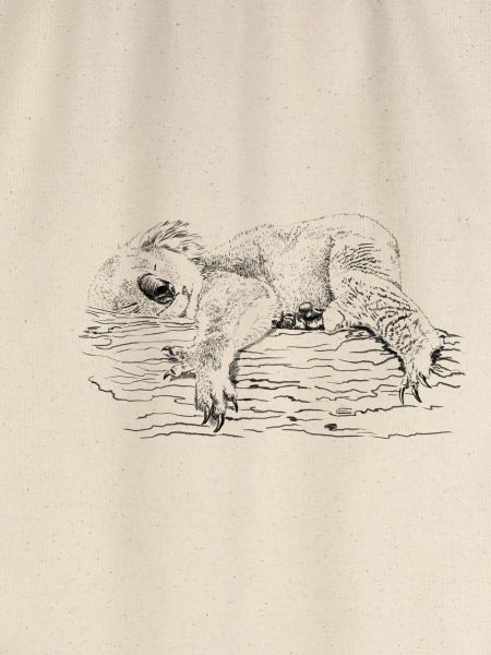 koala bear