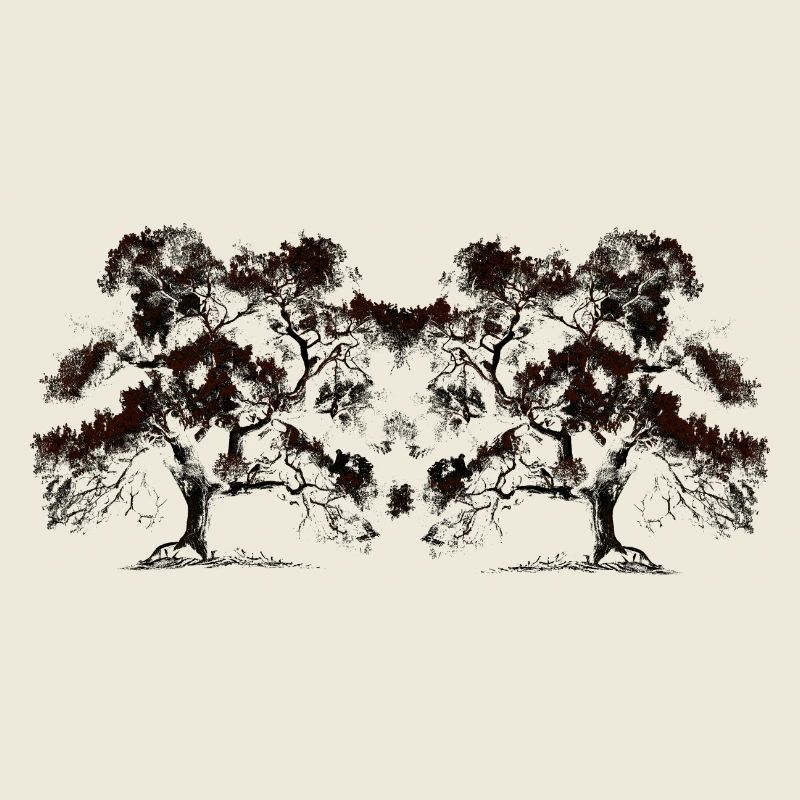Tree, Trees, Botany, Flora, Forest, Nature