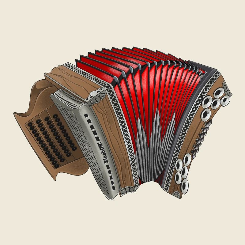 Harmonica de Styrie - Franconie, Bavière | ZiachON !