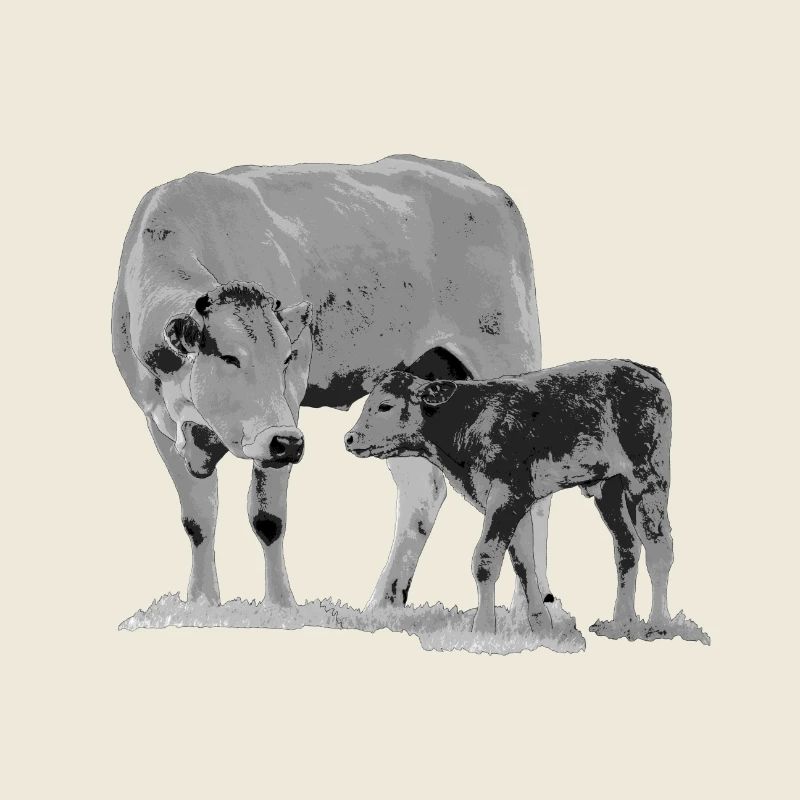 Cow with calf