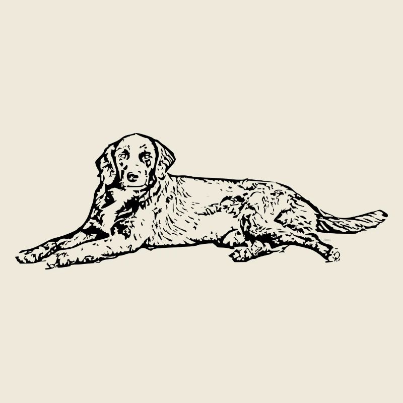 Chien noir