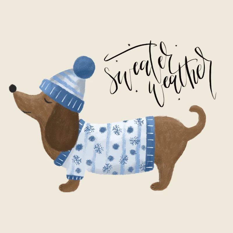 Dackel mit Pullover und Mütze Sweater Weather blau