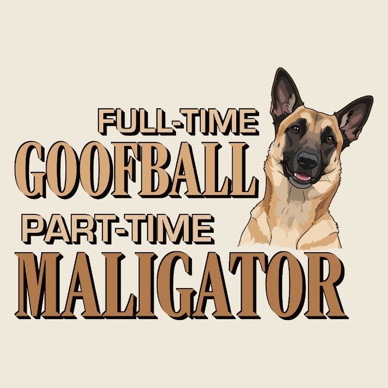 Belgian Malinois - Malalator Clown