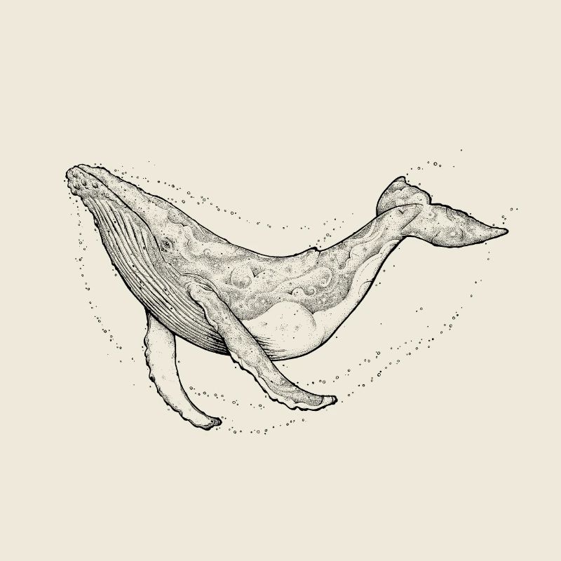 Baleine à bosse