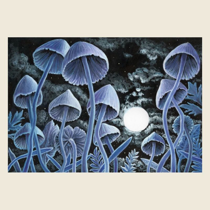 Twelve magic mushrooms at full moon