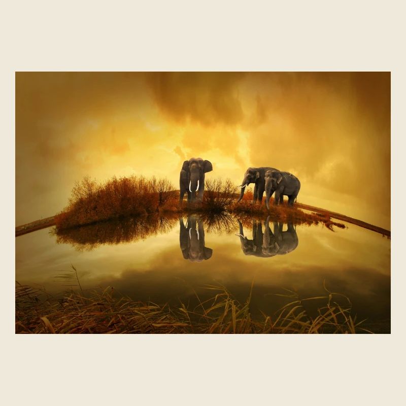 3 Grey Elephants Under Yellow Sky