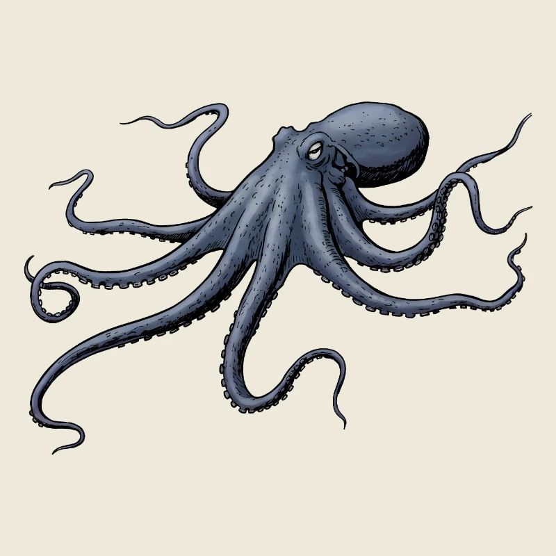 Nachtblauer Kraken Octopus
