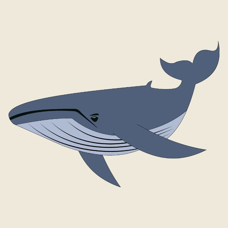 Blue Whale, Whale
