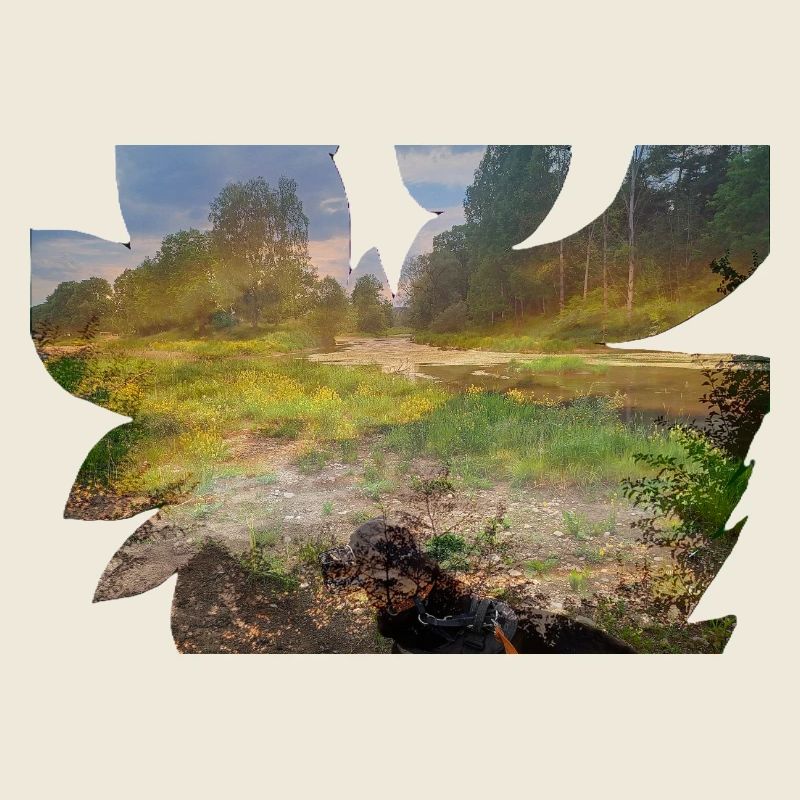 Un delta de rivière brûle de couleurs