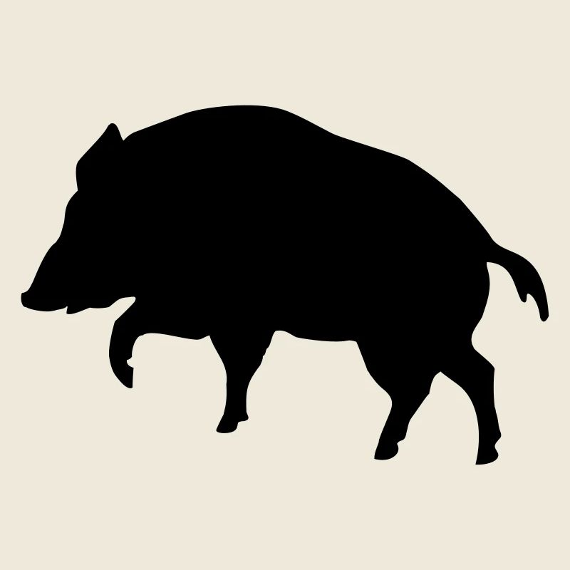 boar