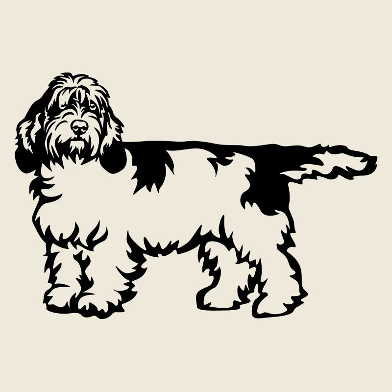 Petit Basset Griffon Vendeen