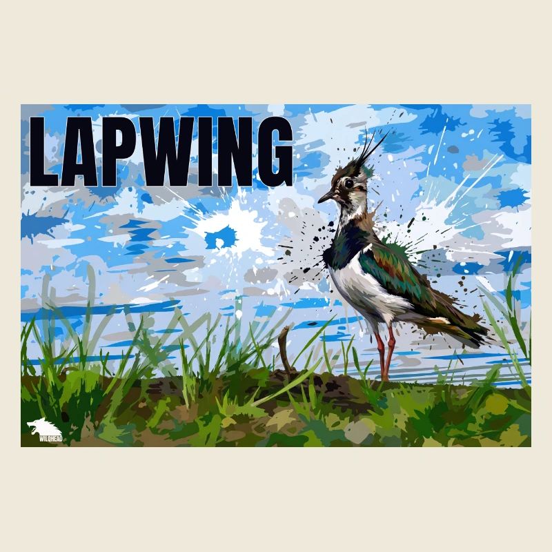 LAPWING