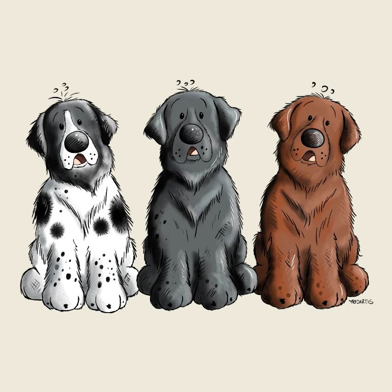 Neufundländer Trio