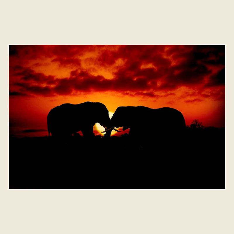 Silhouettenhafte Elefanten bei Sonnenuntergang