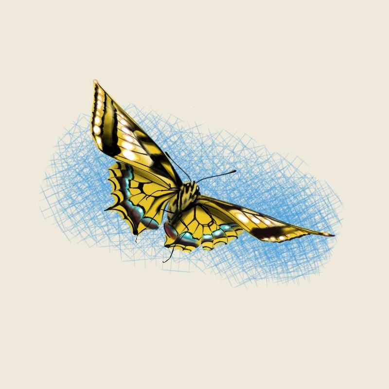 Yellow Butterfly Blue Accent