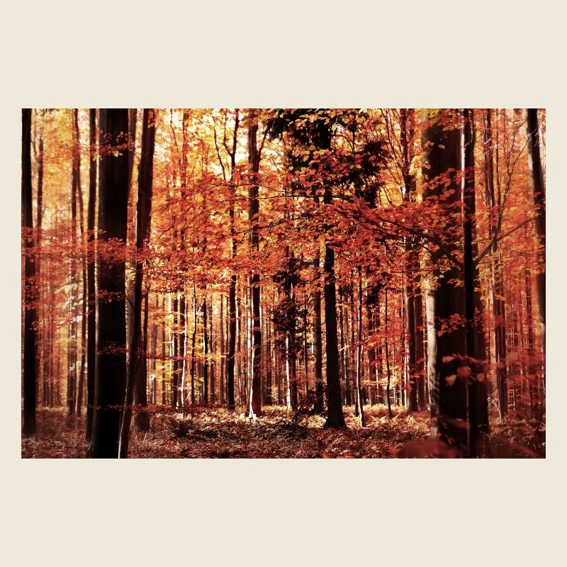 Herbstwald in Rot
