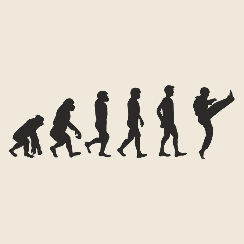 Evolution Karate