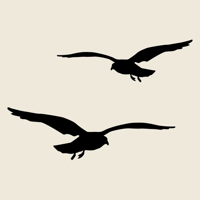 fliegende moewen vogel urlaub