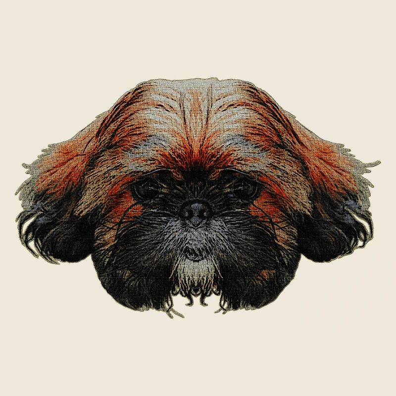 schoßhunde, shih tzu