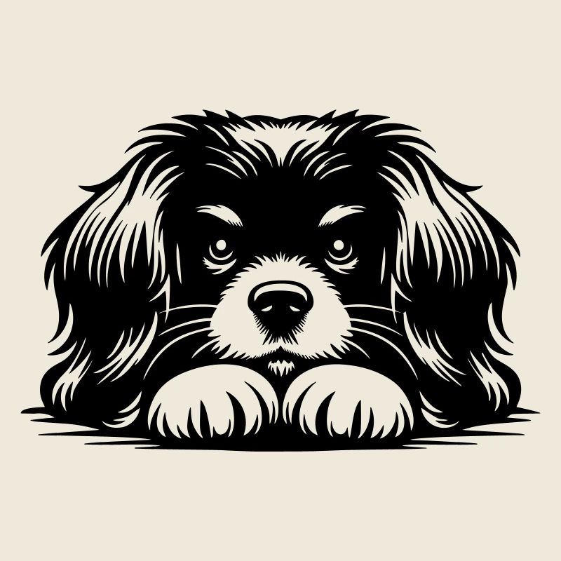 Tibet Spaniel Kopf mit Pfoten