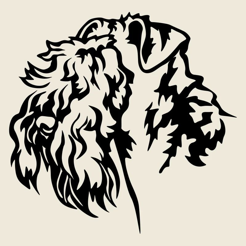 Kerry Blue Terrier Kopf