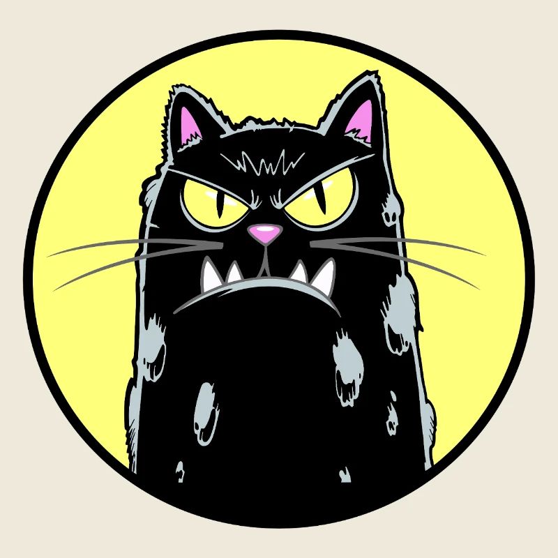 Black cat