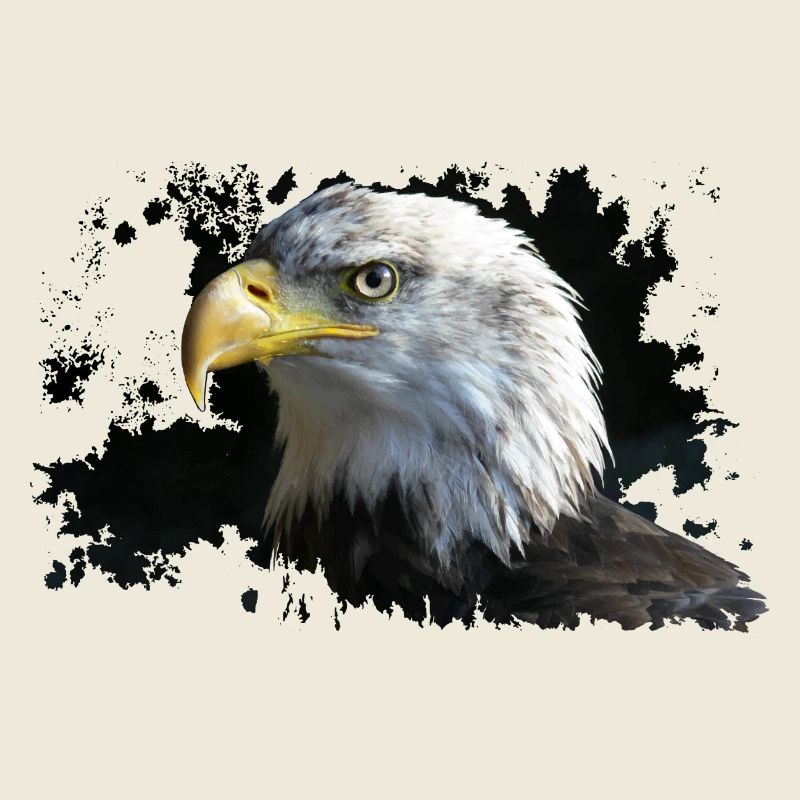 Aigle
