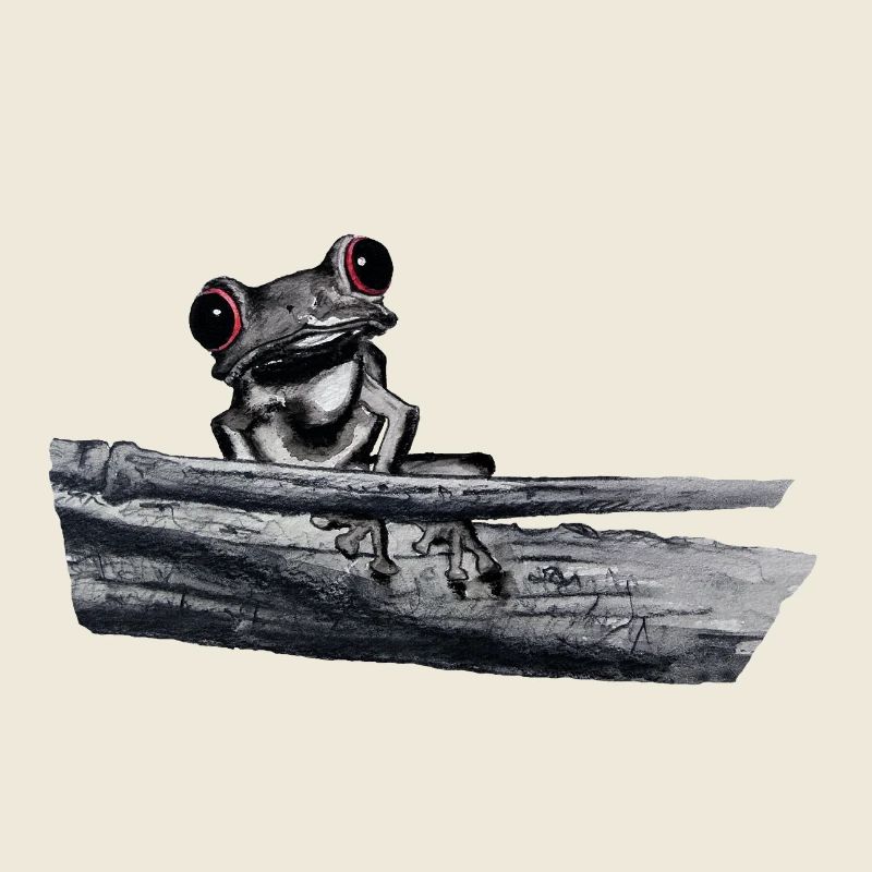 Rotäugiger Laubfrosch