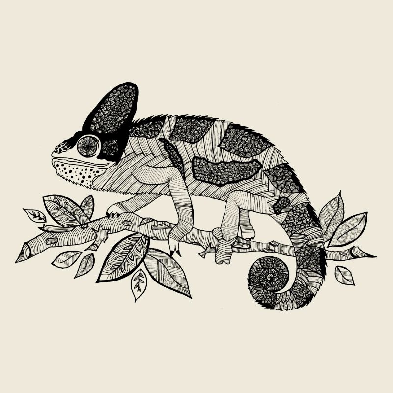 Chameleon