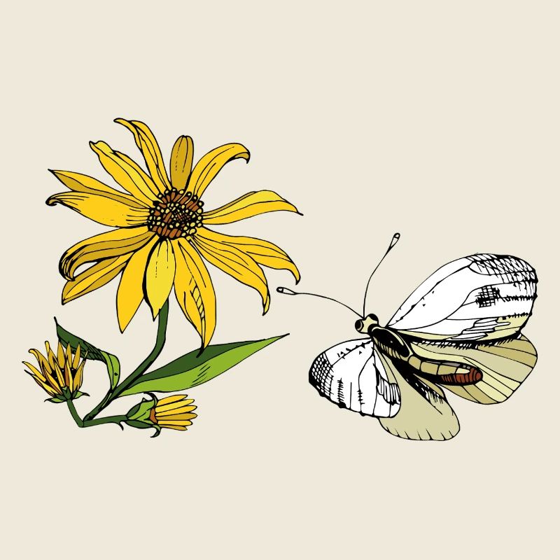 Papillon et Tournesol