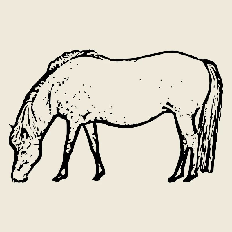 Horse black