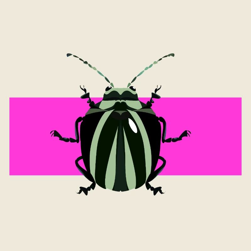 Description abstraite des insectes