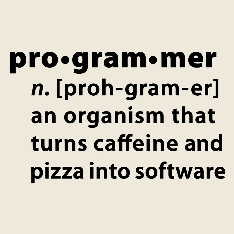 Programmer dictionary definition