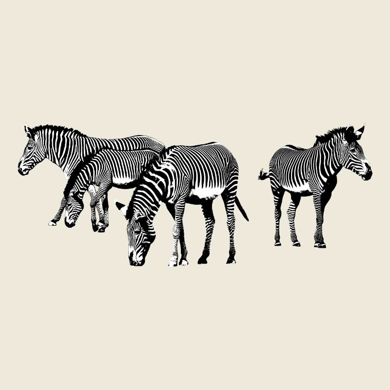 Zebras